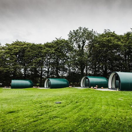 Further Space At Thornfield Luxury Glamping Pods, The Dark Hedges, Ballycastle Баллимони Экстерьер фото