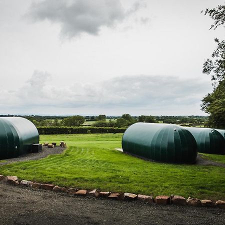 Further Space At Thornfield Luxury Glamping Pods, The Dark Hedges, Ballycastle Баллимони Экстерьер фото
