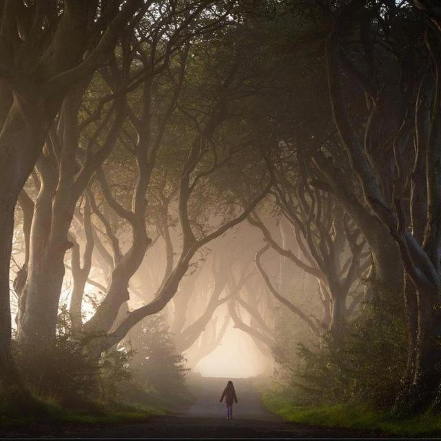 Further Space At Thornfield Luxury Glamping Pods, The Dark Hedges, Ballycastle Баллимони Экстерьер фото