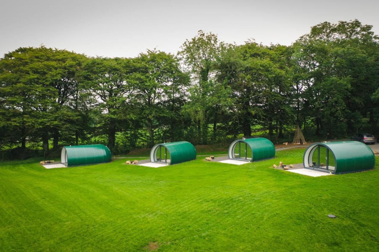 Further Space At Thornfield Luxury Glamping Pods, The Dark Hedges, Ballycastle Баллимони Экстерьер фото